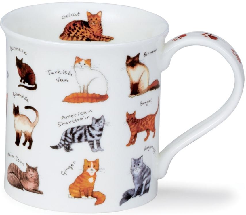 Fine Bone China Porzellan | Dunoon
