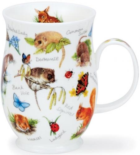 Animal Life by Suffolk Eichh�rnchen