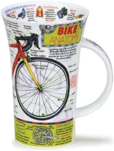 Bike Anatomy by Glencoe