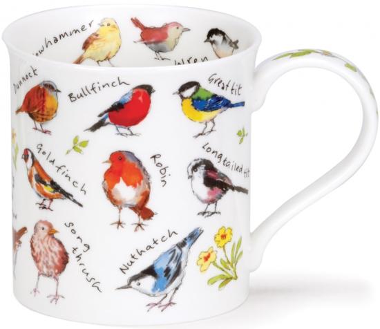 Birdlife by Bute Gartenv�gel