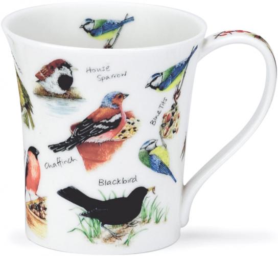 Birdlife by Jura Blaumeise