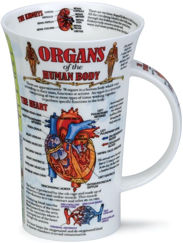 Fine Bone China Porzellan | Dunoon