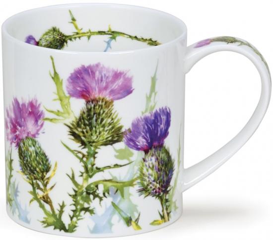 Scottish Thistle by Orkney
