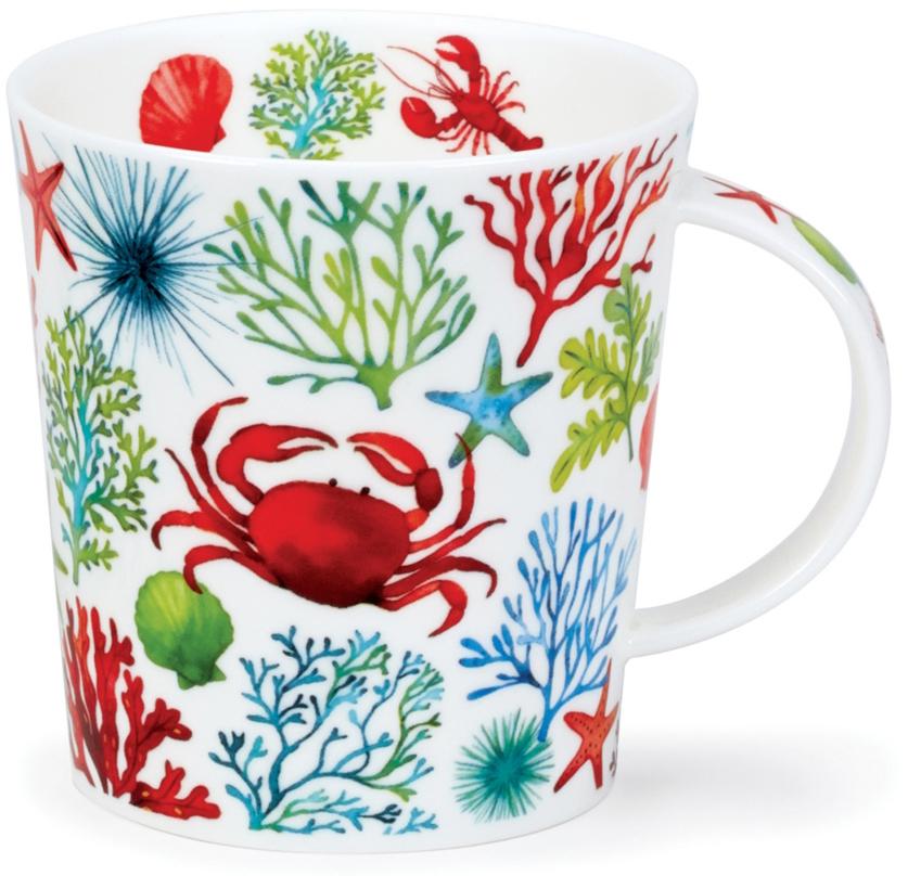 Fine Bone China Porzellan | Dunoon