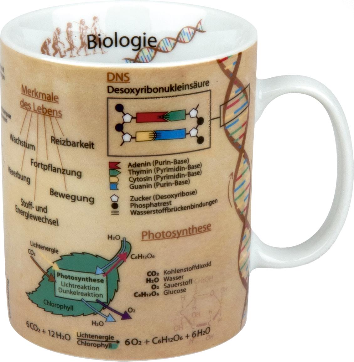 Porzellan | K�nitz