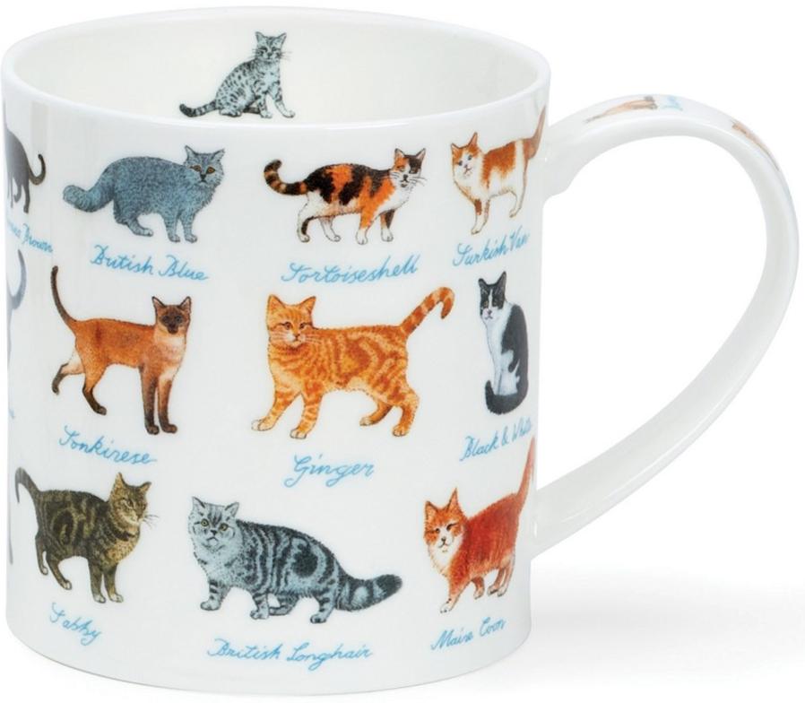Fine Bone China Porzellan | Dunoon