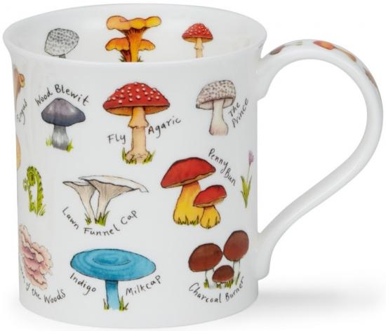 Mushrooms and Toadstools by Bute Rot