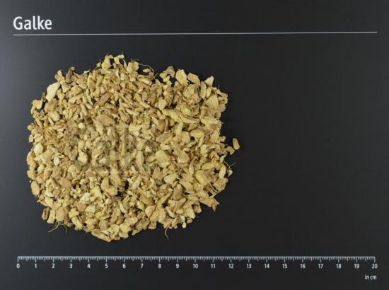 Ingwerwurzel BIO 1 OG = 5000 g
