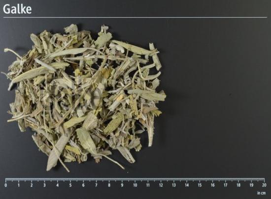 Salbeibl�tter ganz BIO 1 OG = 5000 g
