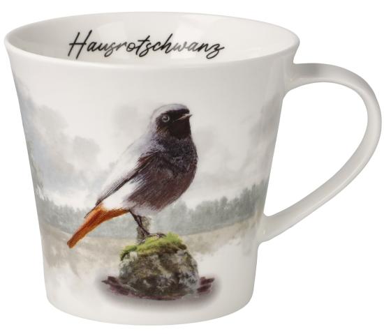 Hausrotschwanz Becher