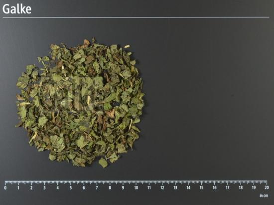 Melissenbl�tter BIO geschnitten 1 OG = 5000 g
