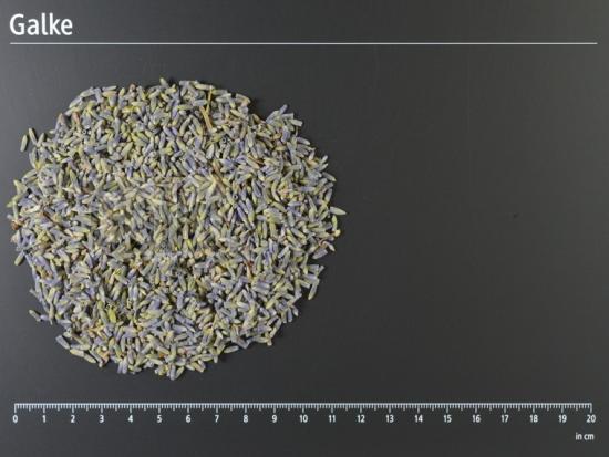 Lavendelbl�ten Lavandin BIO ganz 1 OG = 5000 g