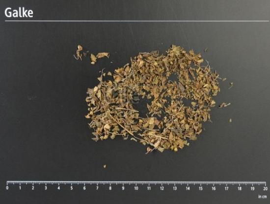 Tulsikraut BIO gerebelt 1 OG = 5000 g
