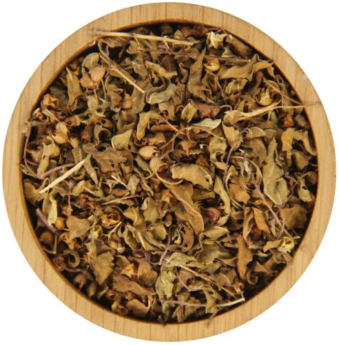 Tulsikraut BIO